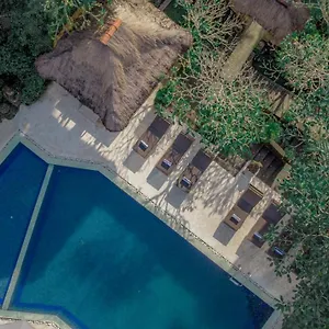 Artini 2 Hotel Ubud (Bali)